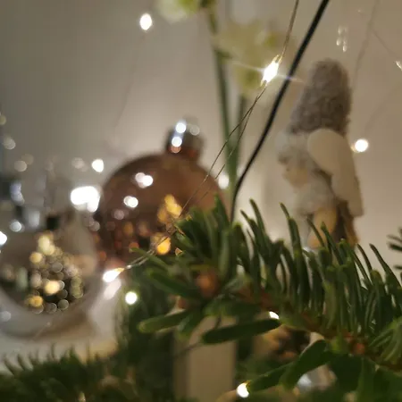 Deichvoigt Κουξχάφεν