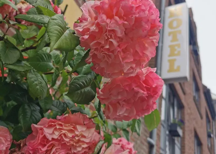 Отель Deichvoigt