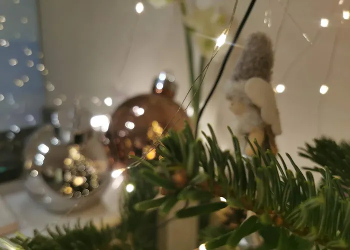 Deichvoigt Куксхафен