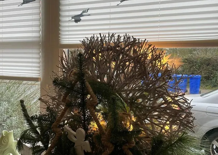 Deichvoigt Отель 3*